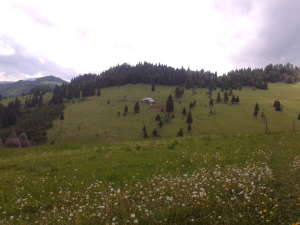 Vedere Dealul Merezuri