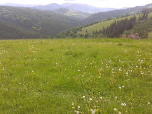 Vedere spre Iliuta Calului