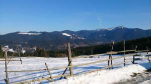 Colibita Sub-Deal iarna