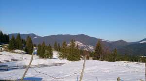 Colibita Sub-Deal iarna