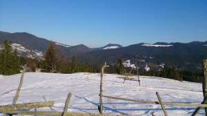 Colibita Sub-Deal iarna